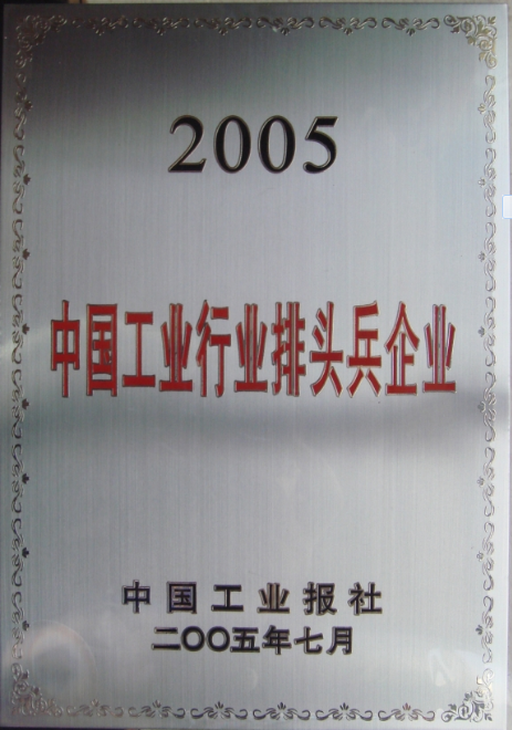 2005 中國工業行業排頭兵企業